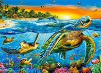 Underwater Turtles